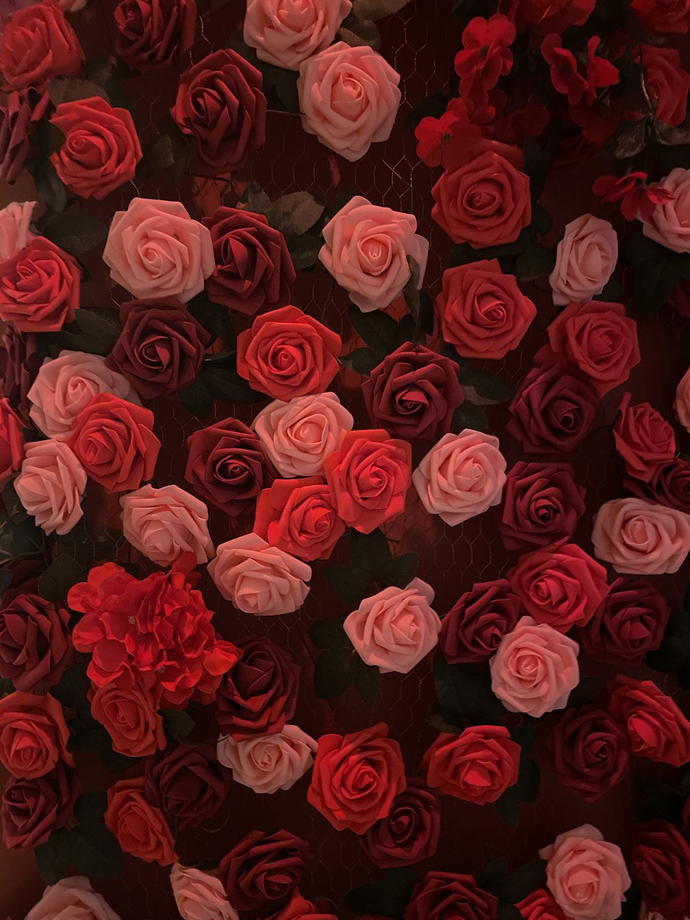 Mur de roses de la suite NOTI ROOM